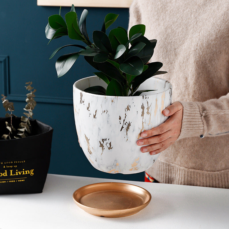 Ceramic Flowerpot - Decorative Planter for Indoor Plants