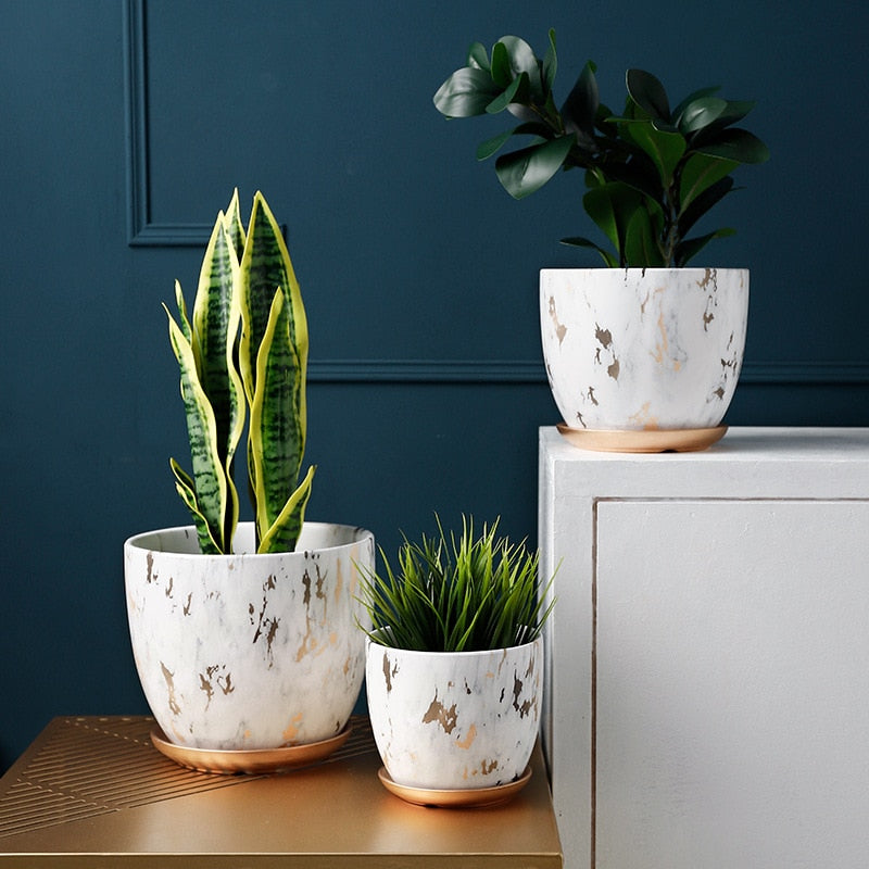 Ceramic Flowerpot - Decorative Planter for Indoor Plants
