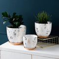 Ceramic Flowerpot - Decorative Planter for Indoor Plants